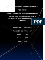 Informe Manchay