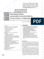 ENFOQUE_FMILIAR_DE_LOS_PROBLEMAS_PSCOSOCIALES_ATENCION_LONGITUDINAL_CICLO_VITA_FAMILIAR.pdf