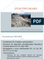 155624778-Depositos-Tipo-Skarn.pdf