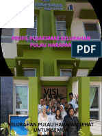 Profil Puskesmas Pulau Harapan Rev 1