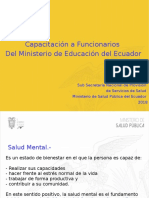 Salud Mental, Definiciones Básicas 1 PDF