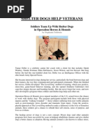 Shelter Dogs Help Veterans