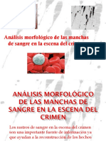 Análisis Morfológico de Las Manchas de Sangre en PDF