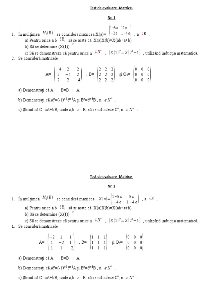 0 0 Test de Evaluare Matrice | PDF