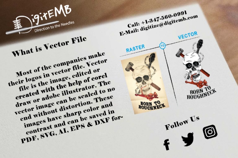 What Is Vector File | PDF