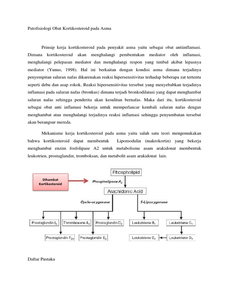patofisiologi-obat-kortikosteroid-pada-asma-pdf