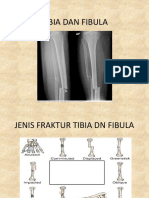 Tibia Dan Fibula