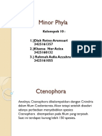 Ctenophora dan Minor Phyla
