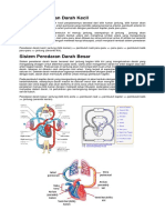 Sistem Peredaran Darah Kecil