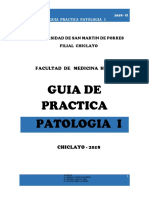 GUIA PRACT PATO I - 2018.pdf