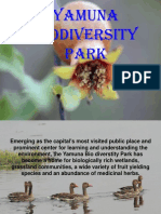 Yamuna Biodiversity Park