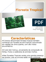 Floresta Tropical-Sofia, Diogo, Joel, Inês