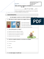 Prueba Ciencias Naturales Luz 2017