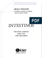 Intestinos Nestor Palmetti