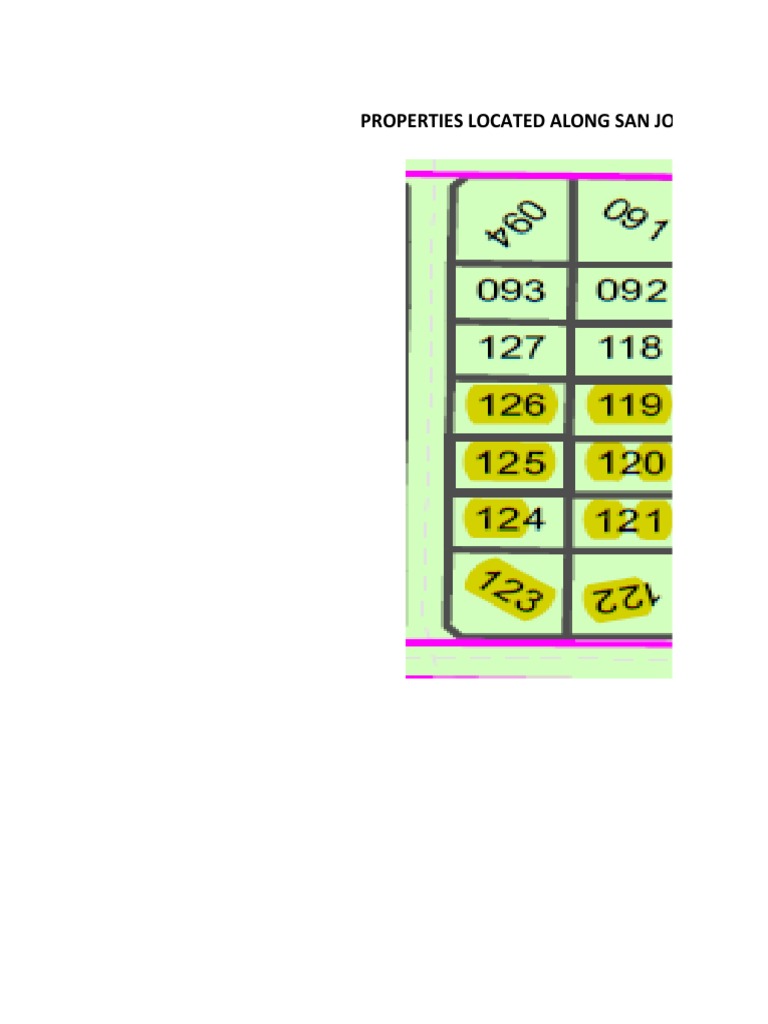 Properties Located Along San Jose Road Within The Airstrip Area PDF