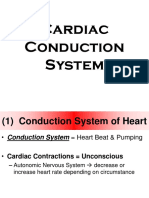 ANAT Unit 3 Cardiac Conduction System Notes