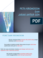 lect7-peta-kromosom.pptx