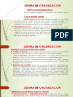 SISTEMA DE ORGANIZACION.pptx