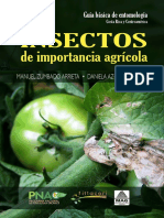 Insectos de Importancia Agricola