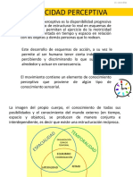 Capacidad Perceptiva PDF