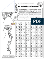 01-El-Sistema-Nervioso FICHA.pdf