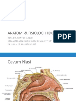 Anatomi & Fisiologi Hidung
