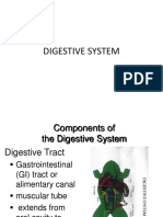 337997445-Digestive-System-of-Frog.pdf