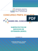 Bases Concurso - PNIPA - 2018-2019 SEREX
