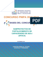 Bases_Concurso_PNIPA_-2018-2019_SFOCA