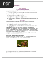 A vida no planeta.docx