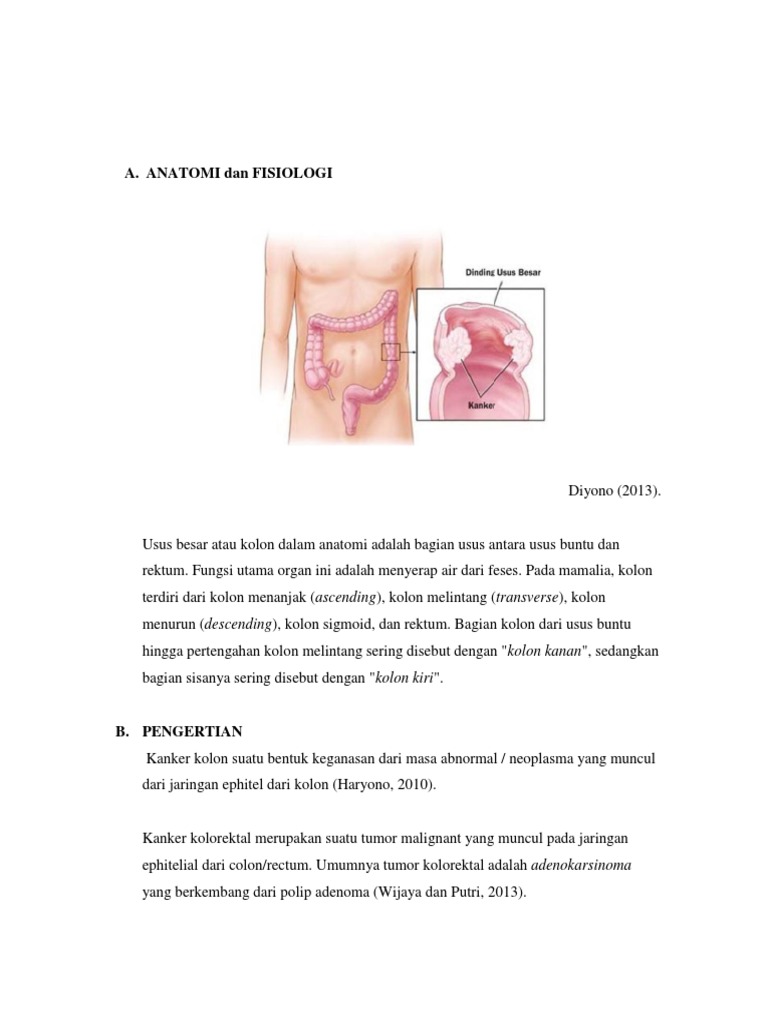 ANATOMI_dan_FISIOLOGI.docx
