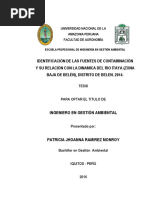 Patricia Tesis Titulo 2016