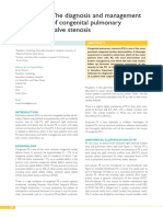 Pulmonal Stenosis