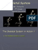 Skeletal+System+Powerpoint.ppt