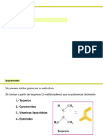 BE B13 Isoprenoides