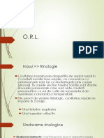 ORL 1+2 (1).pdf