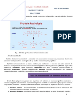 Nutritie Si Dietetica, Macronutienti, Proteine