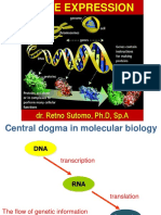 Dr. Retno Sutomo, PH.D, Sp.A