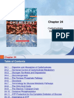 Chem 45 Biochemistry Stoker Chapter 24 Carbohydrate Metabolism