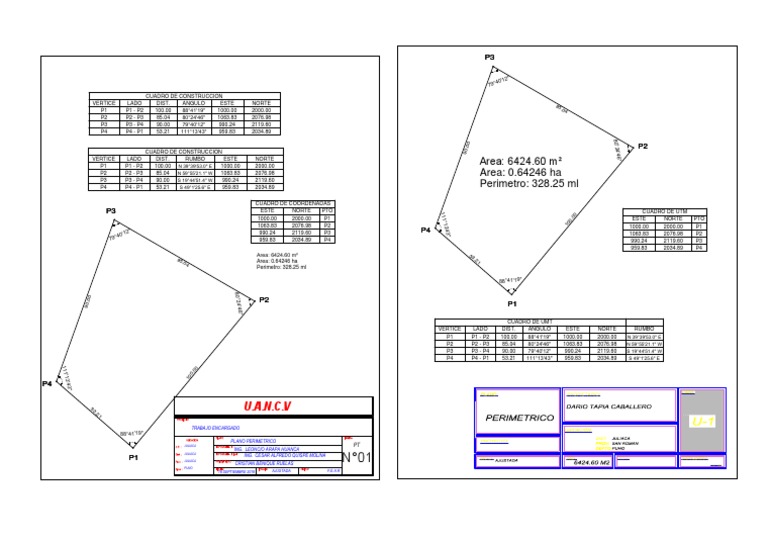 Perimetric Plan and Coordinates Data | PDF