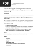 PRÁCTICAS DE LABORATORIO-biología 2
