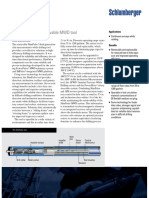 SlimPulse PDF
