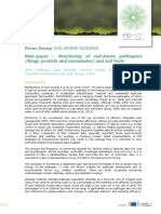 Monitoring of Soil-Borne Pathogens (Fungi, Protists and Nematodes) and Soil Tests