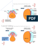 Folding