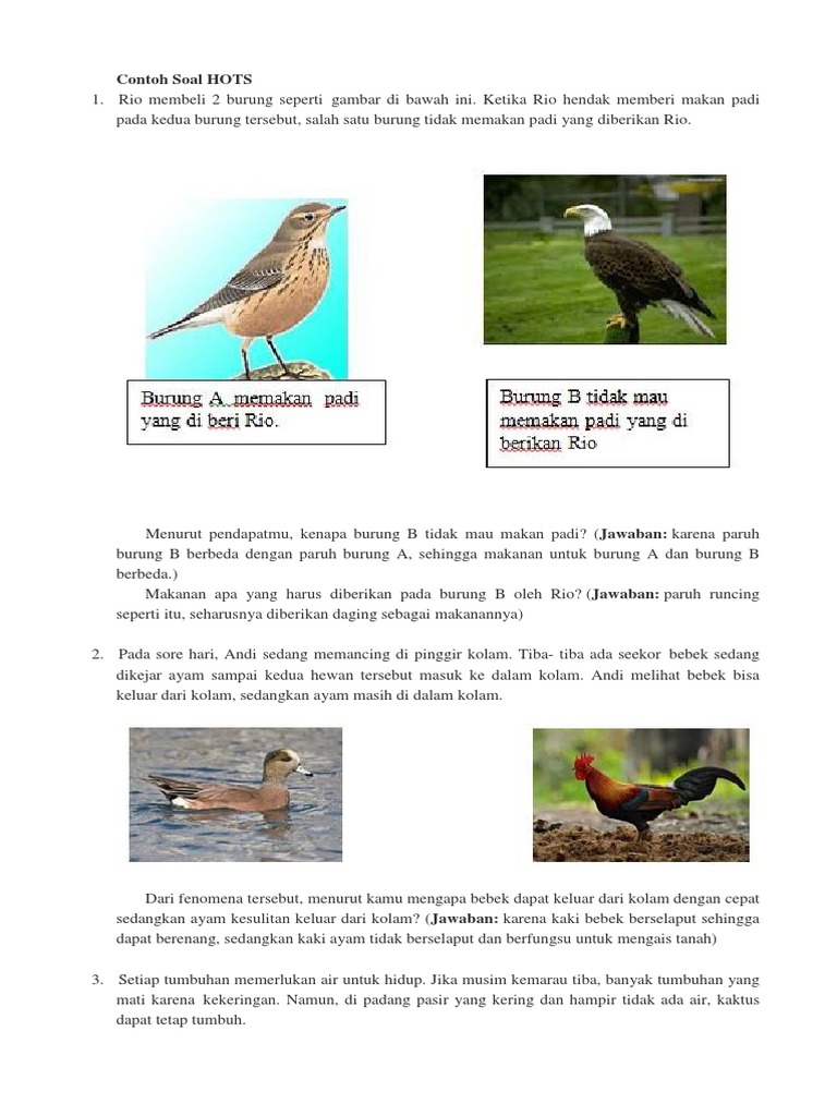 Contoh Soal Hots Pdf