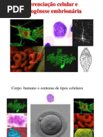 3 diferenciação celular e morfogenese embrionária.pdf