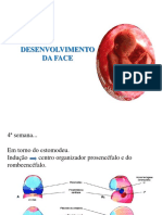 5 Desenvolvimento Face 1 Med PDF