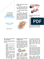 Pamflet Kejang Demam Pada Anak - Ayu