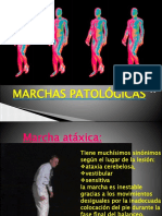 Marchas Patologicas