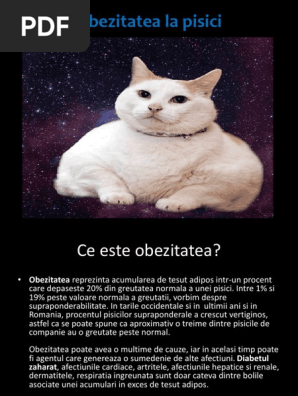 Obezitate La Pisici  PDF